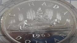 Numismática esta moneda vale 1 dólar canadiense pero se oferta en más de 20 mil pesos mexicanos
