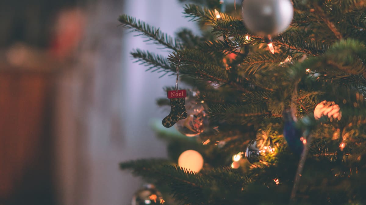 ¿Dónde es mejor poner el árbol de Navidad? Esto dice el Feng Shui