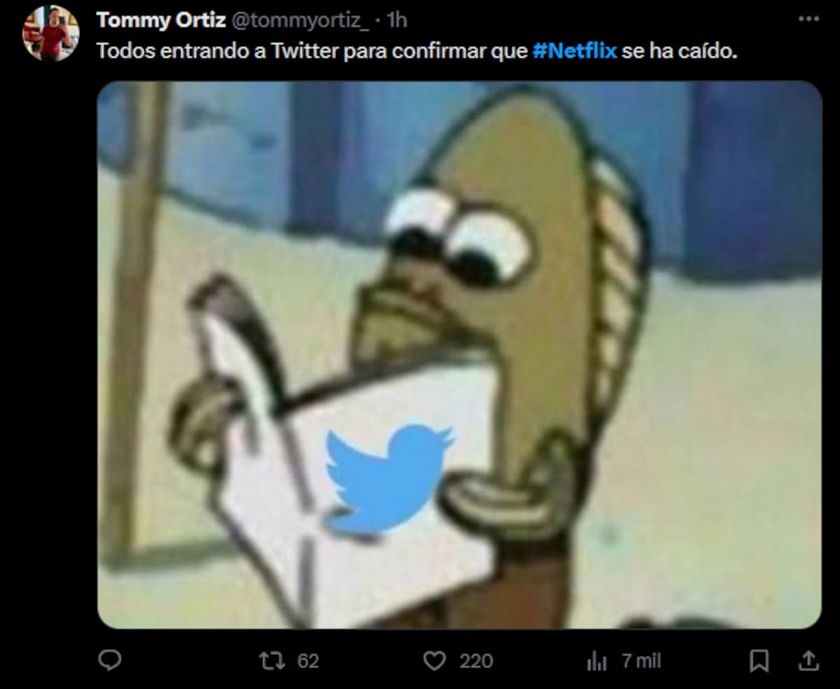 Fueron diversos los memes que salieron ante la caída de Netflix.