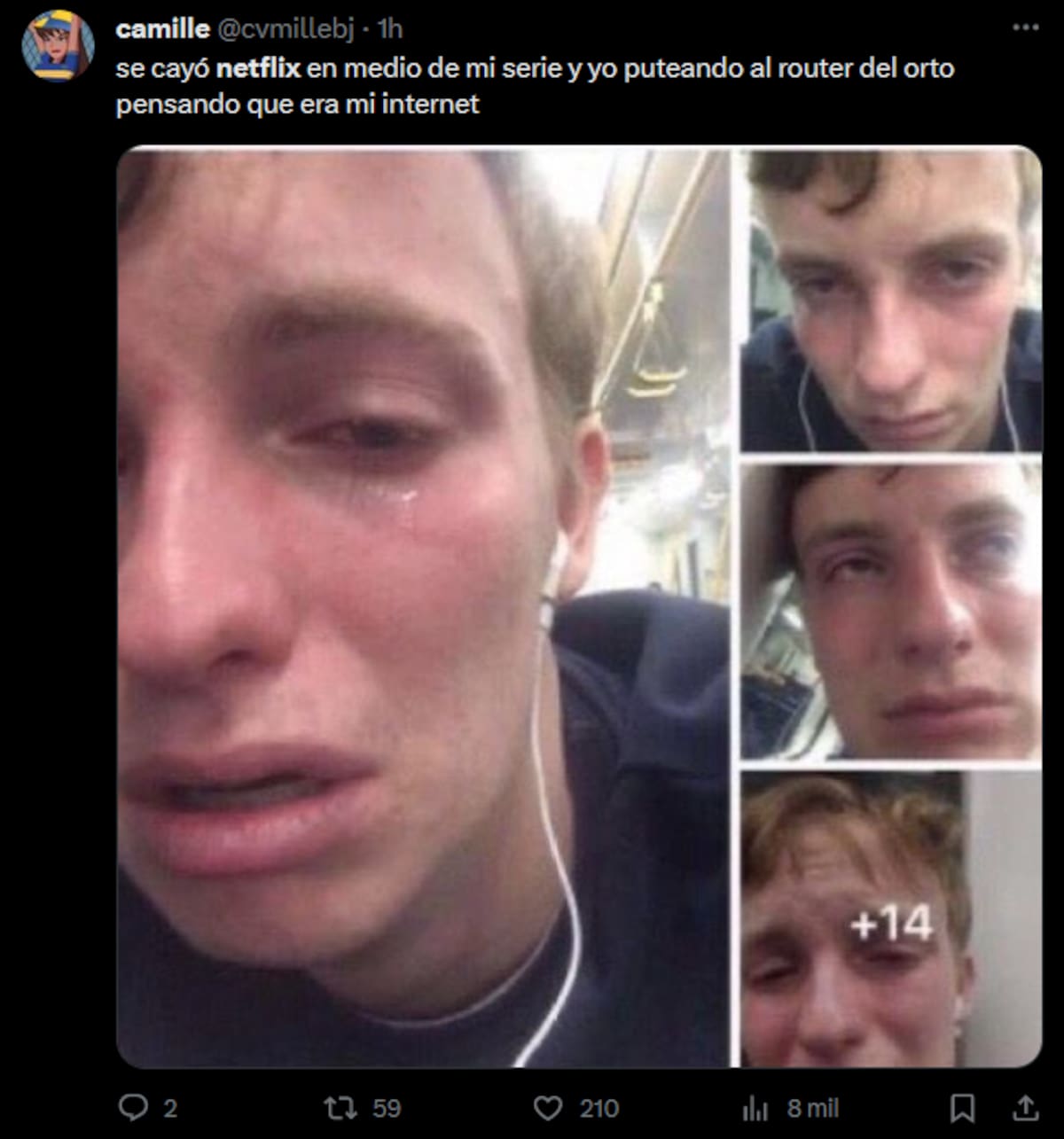 ¿Se te cayó a ti también Netflix?