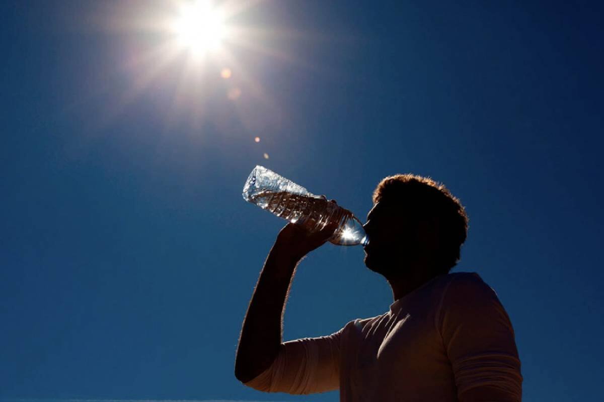 Durante la época de altas temperaturas, debes evitar esta bebida.