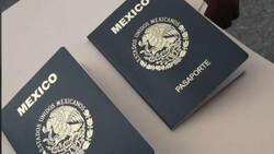 ¿Vas a tramitar tu pasaporte? Ahora puedes hacerlo vía WhatsApp