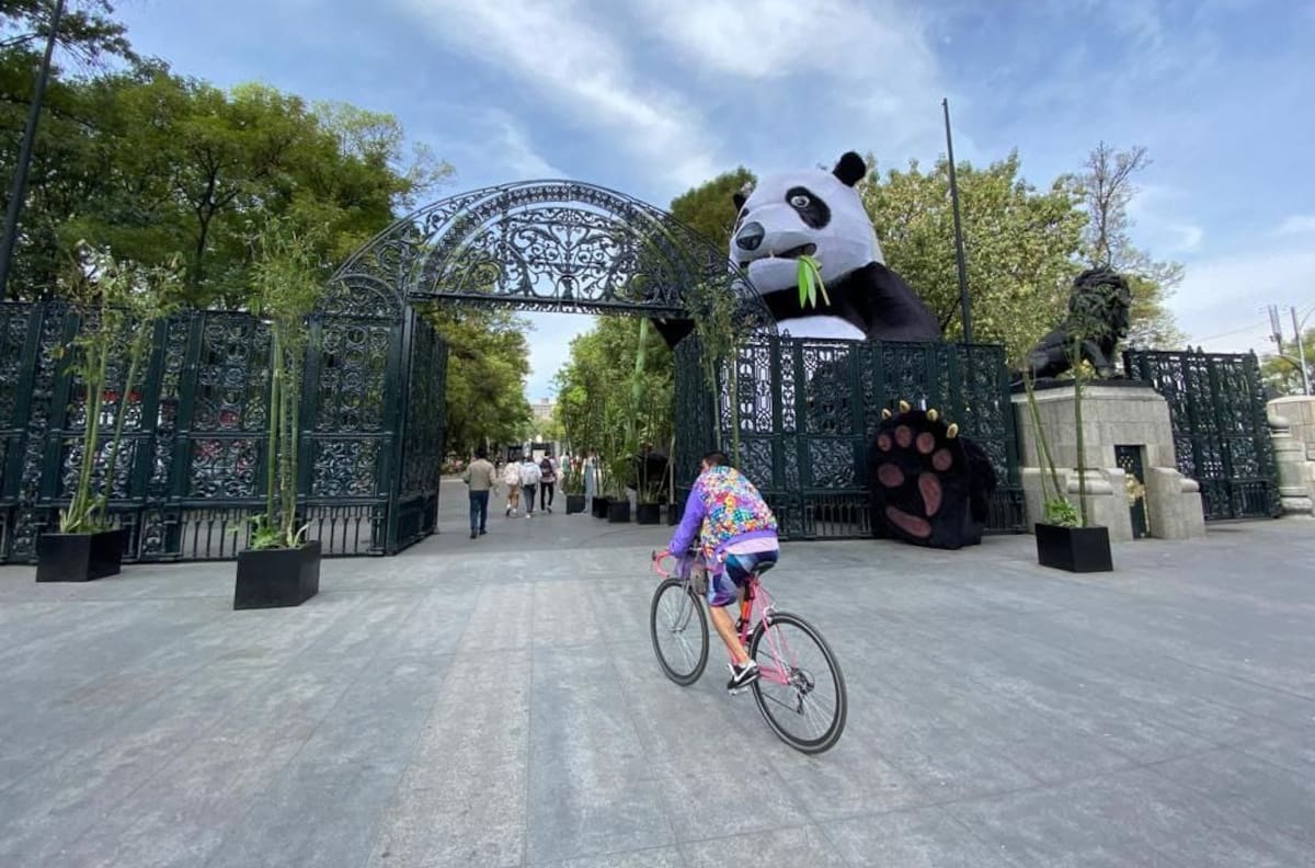 Paseo Dominical “Muévete en Bici”: Conoce la ruta del recorrido para este 7 de mayo en CDMX