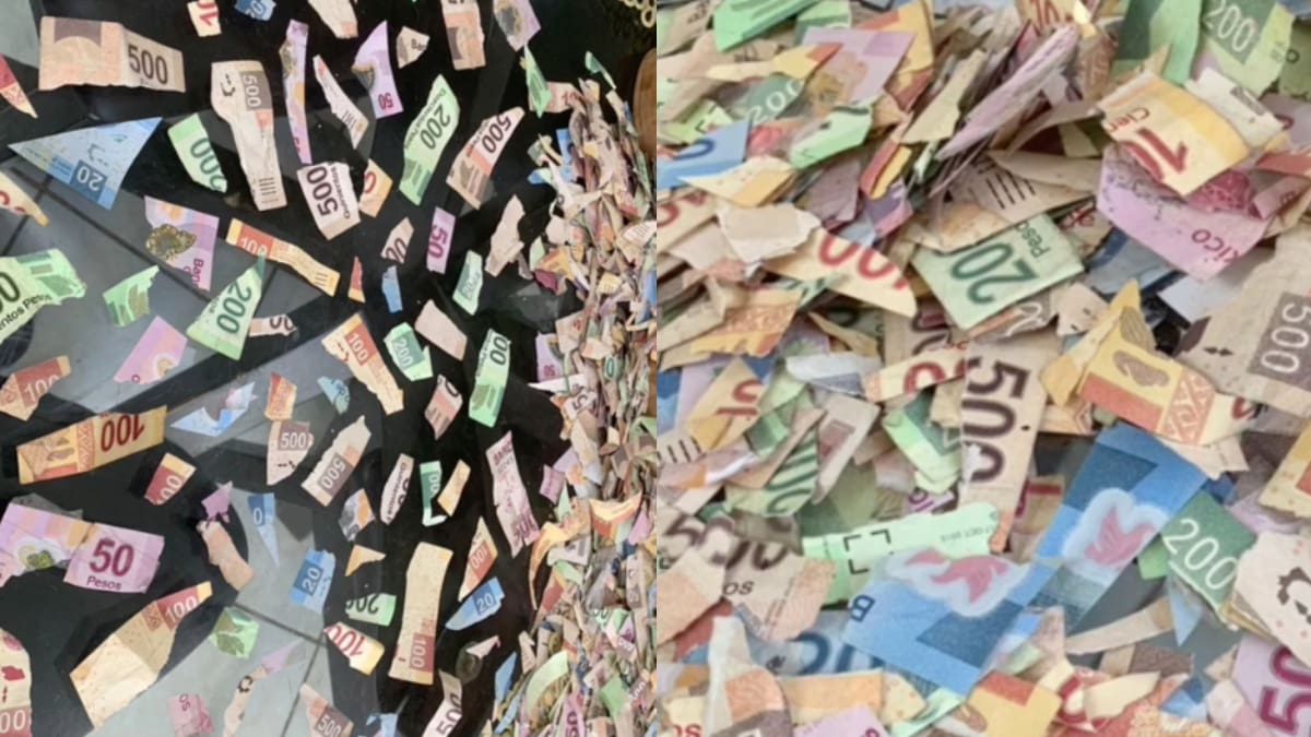 VIDEO | Niña de 4 años destroza los ahorros de su primo y se hace viral