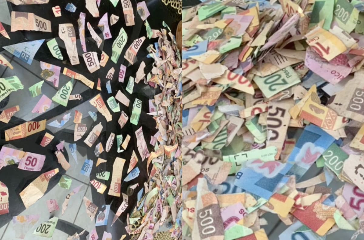 VIDEO | Niña de 4 años destroza los ahorros de su primo y se hace viral
