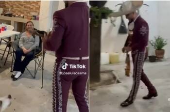 Perro asusta a mariachi en plena serenata y se hace viral | VIDEO