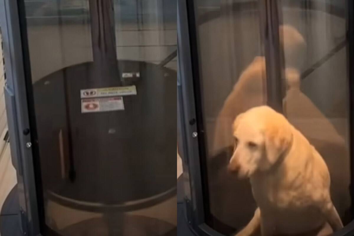 Así se ve el ascensor. Créditos: @atr_ahre