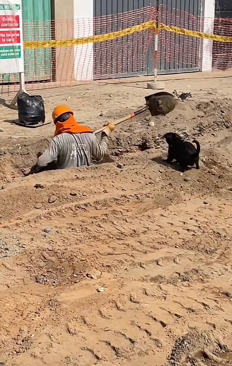 El video fue grabado en Perú. Créditos: @santiagoramirezmo7