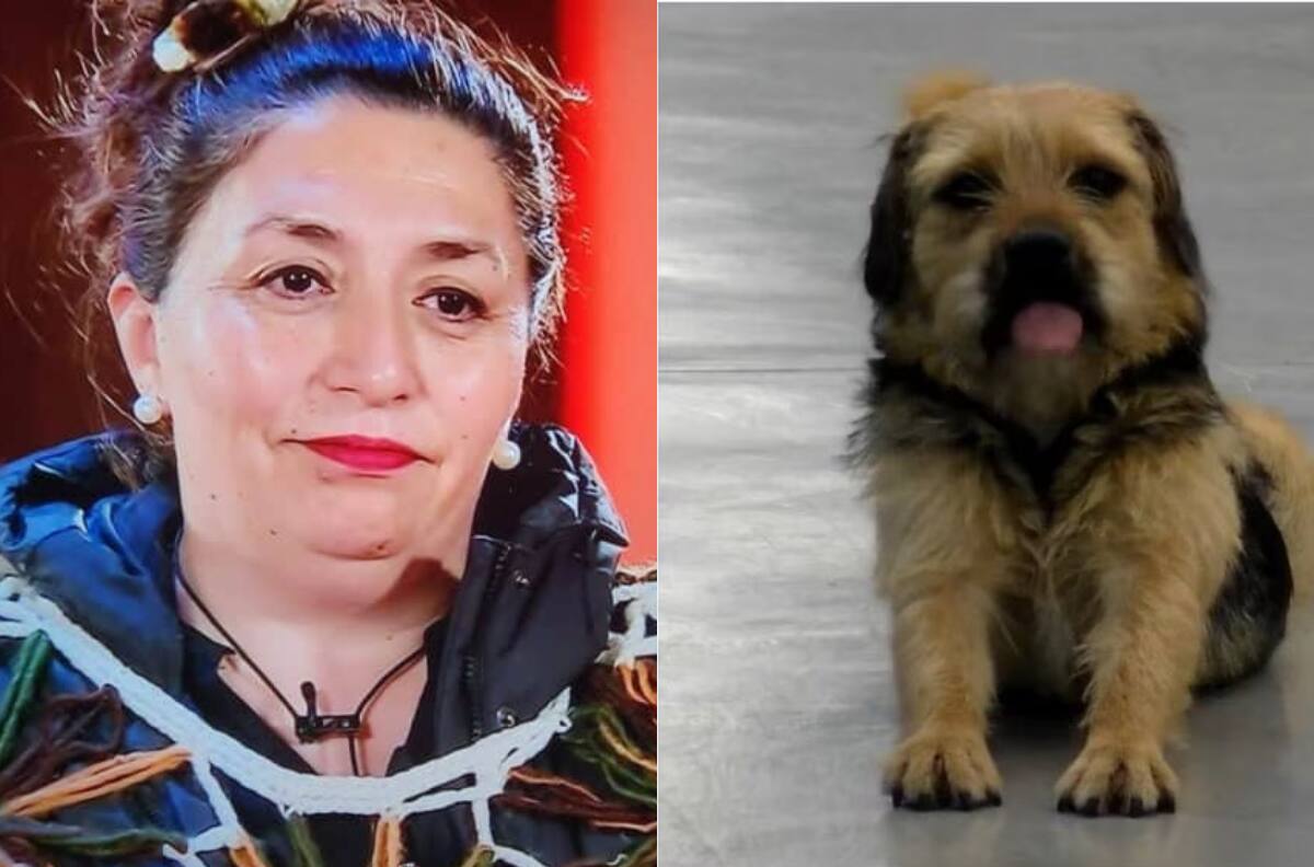 Pincoya confiesa que también quiso adoptar a Bigote de “Gran Hermano” Chile