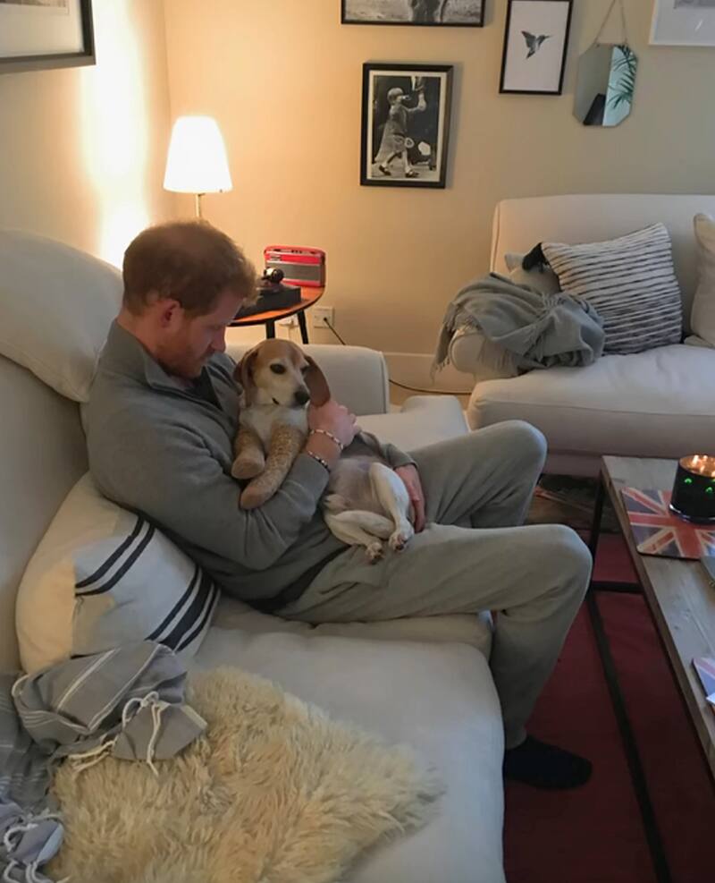 El duque de Sussex se queda en casa mientras Meghan Markle sale de fiesta