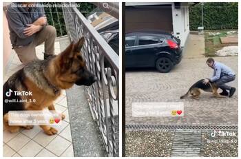 VIDEO | Mira la tierna reacción de este perrito al ver a su dueño después de tres años