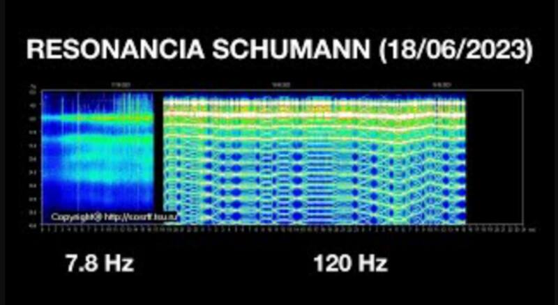Así puedes contrarrestar el efecto que tiene en los humanos.