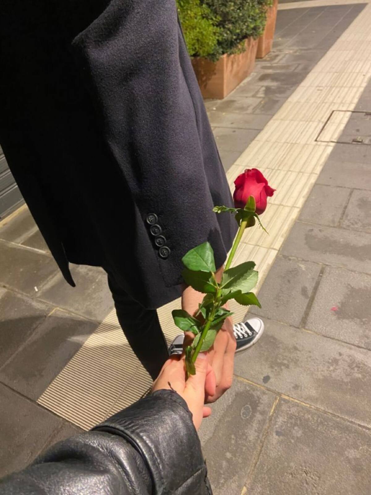 Representa la pasión y el amor verdadero