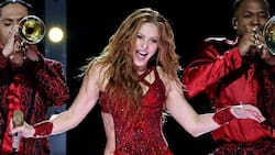 Shakira será reconocida en la próxima entrega de los Premios Juventud
