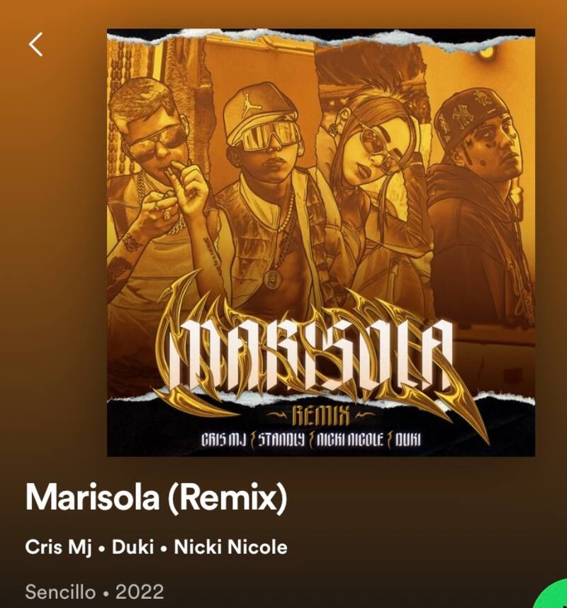 El cantante urbano, intérprete de "Panamera" no está considero en los créditos de su canción "Marisola Remix", no así sus demás compañeros.