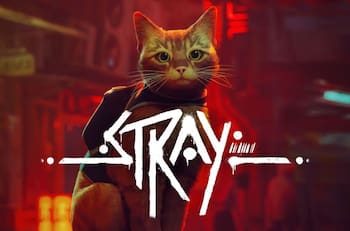 Película animada de Stray ya se encuentra en producción