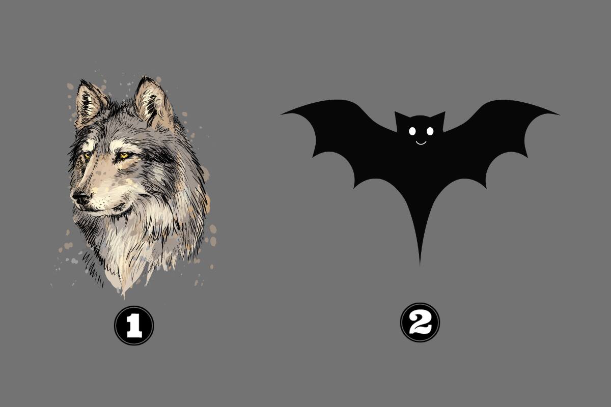 ¿Qué dice de ti la opción que prefieras?