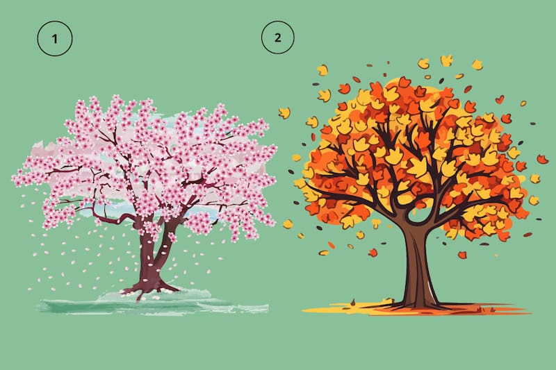 ¿Primavera u otoño?