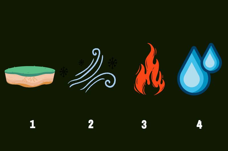 Elige el elemento que más te represente.