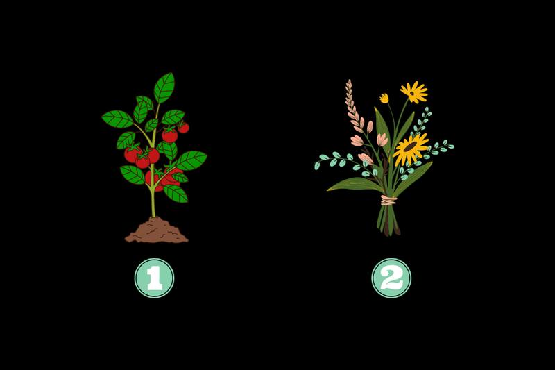 ¿Qué dice de tu autocuidado la imagen que elijas?