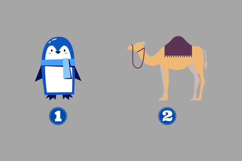 ¿Pingüino o Camello? Elige uno y descubre qué dice de ti.