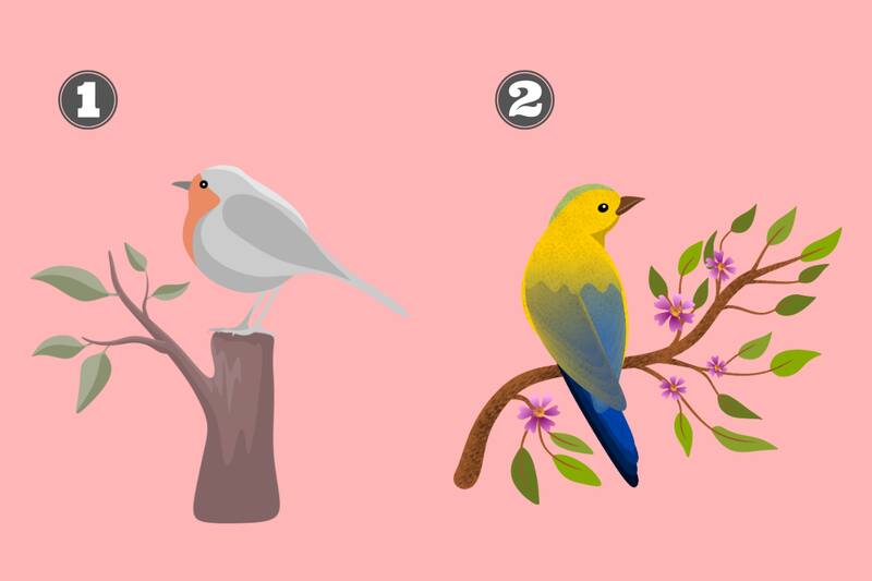 ¿Qué pajarito te gusta más?