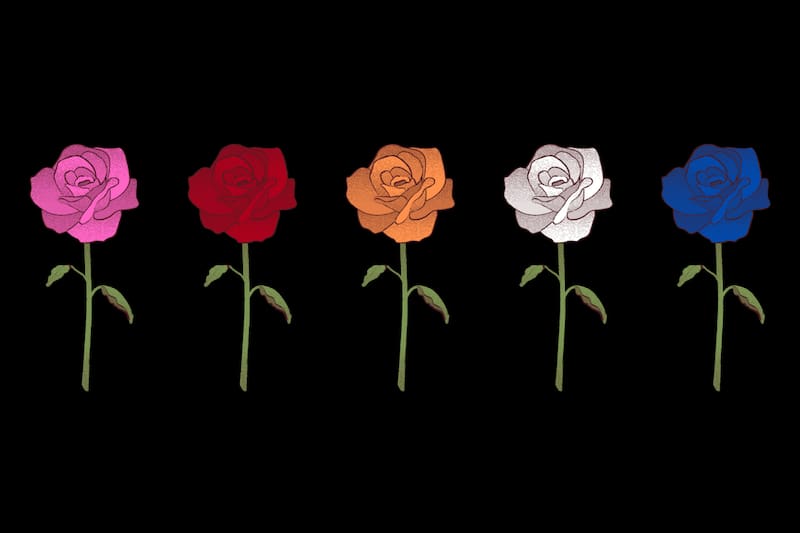 Elige una rosa y descubre qué necesitas en tu vida.