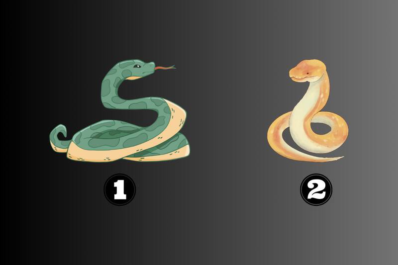 ¿Te atreves a conocer cómo hablan los demás de ti?