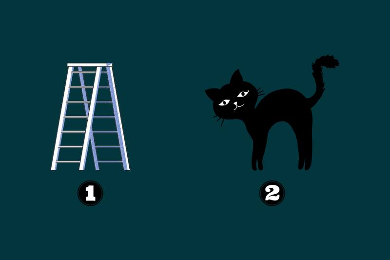¿Eliges la escalera o el gato? Descubre qué dice eso de ti.