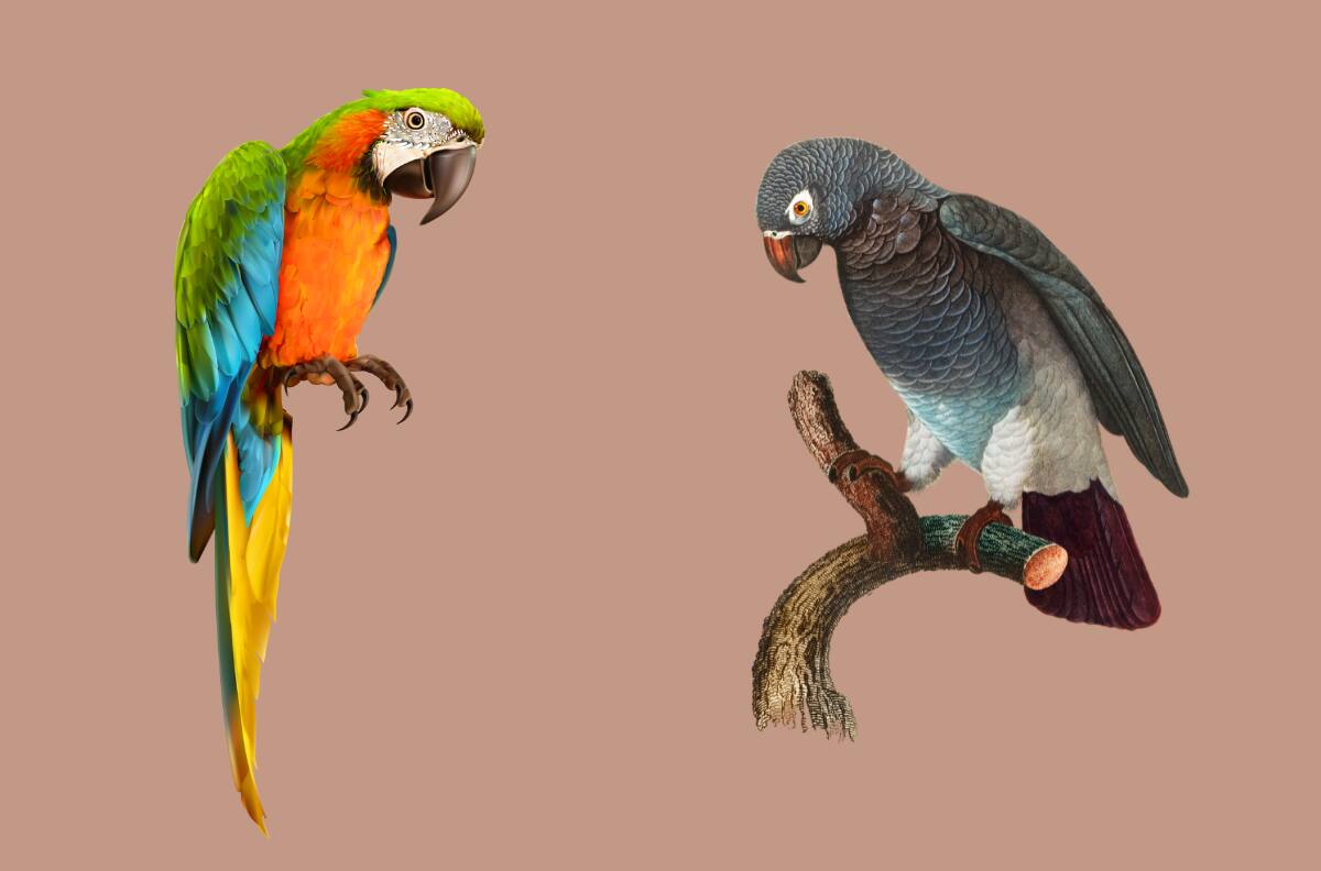 Test de Personalidad: ¿Eres alguien chismoso? Descúbrelo aquí