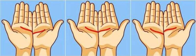 Descubre rasgos importantes de tu personalidad a travez de la raya de la palma de tus manos.