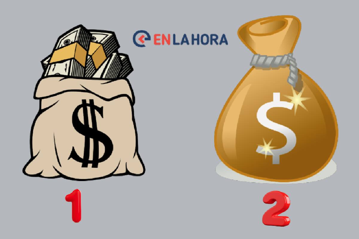 Elige la bolsa que más llame tu atención o la que más te guste y ésta reflejará cómo eres.