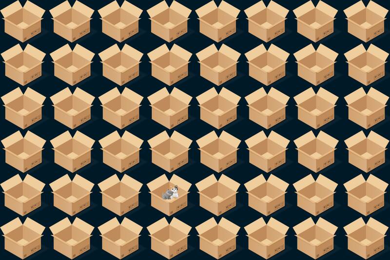 Rescata a los felinos en el menor tiempo posible. ¿Podrás ayudarles a encontrar un hogar?