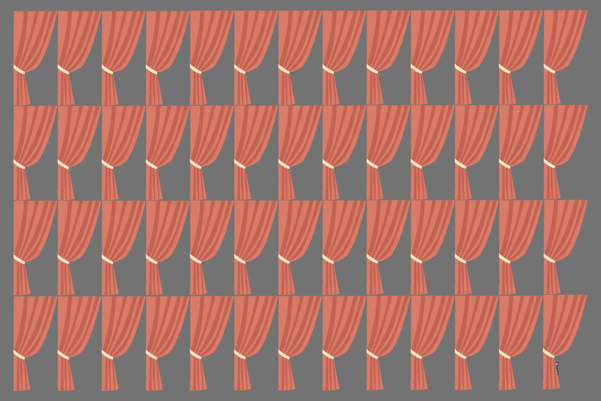 Encuentra al gato entre las cortinas en solo 5 segundos.