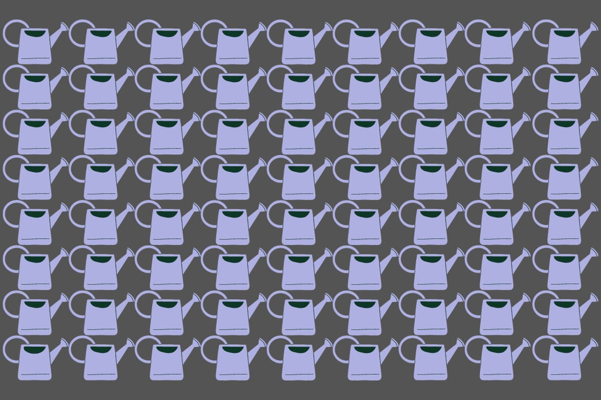 ¿Dónde está la regadera diferente?