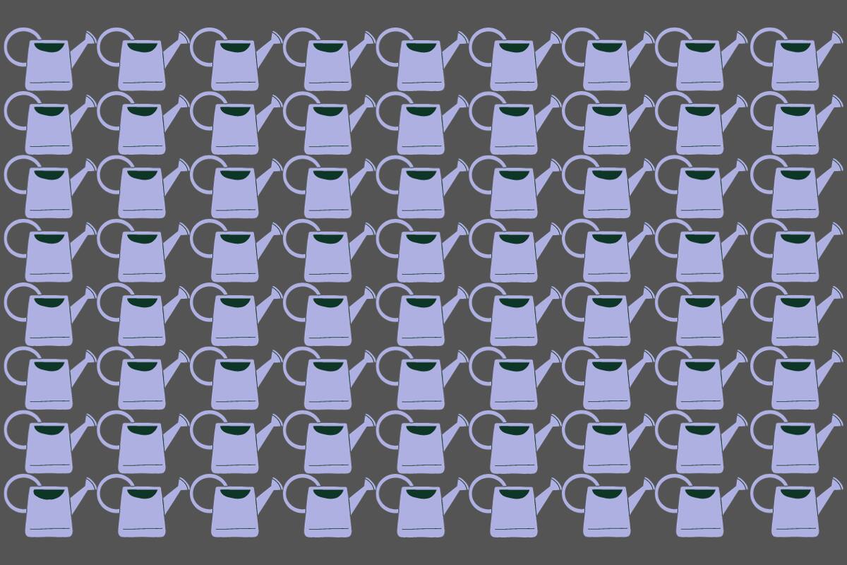 ¿Dónde está la regadera diferente?