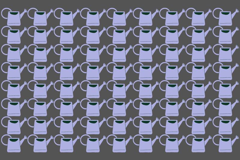 ¿Dónde está la regadera diferente?