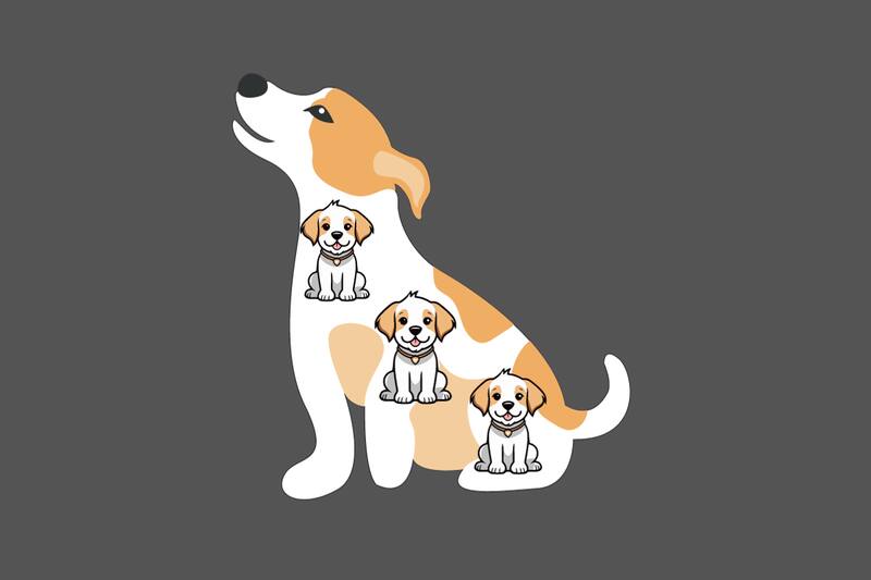 ¡Eran tres los cachorros en la imagen!