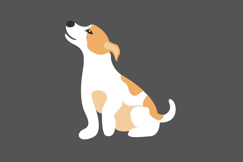 Di cuántos cachorros hay detrás del perro y conoce qué tan buena es tu intuición.