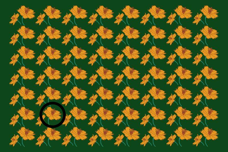 ¡Aquí se encontraba la flor diferente!