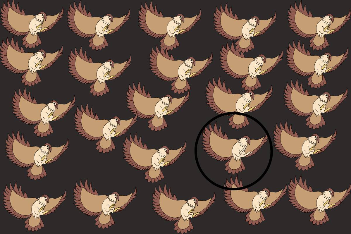 Aquí estaba el halcón impostor. ¿Fuiste capaz de encontrarlo en menos de 10 segundos?