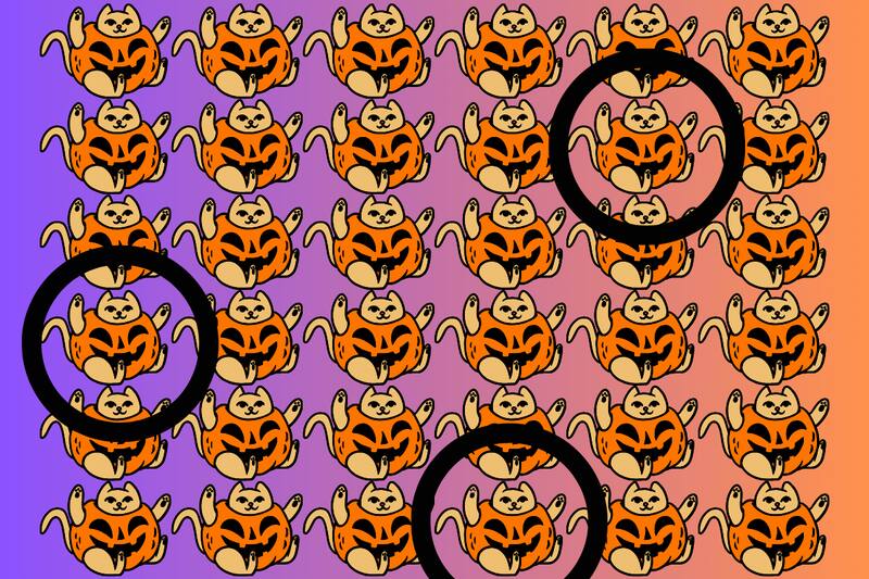 ¡Acá estaban los tres gatitos diferentes del test visual!