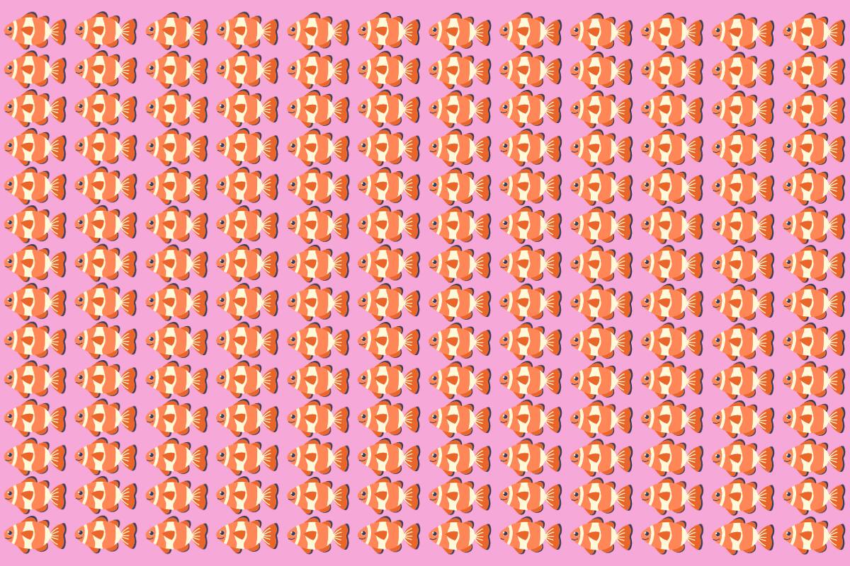 ¿Eres capaz de encontrar al pez diferente en la imagen?