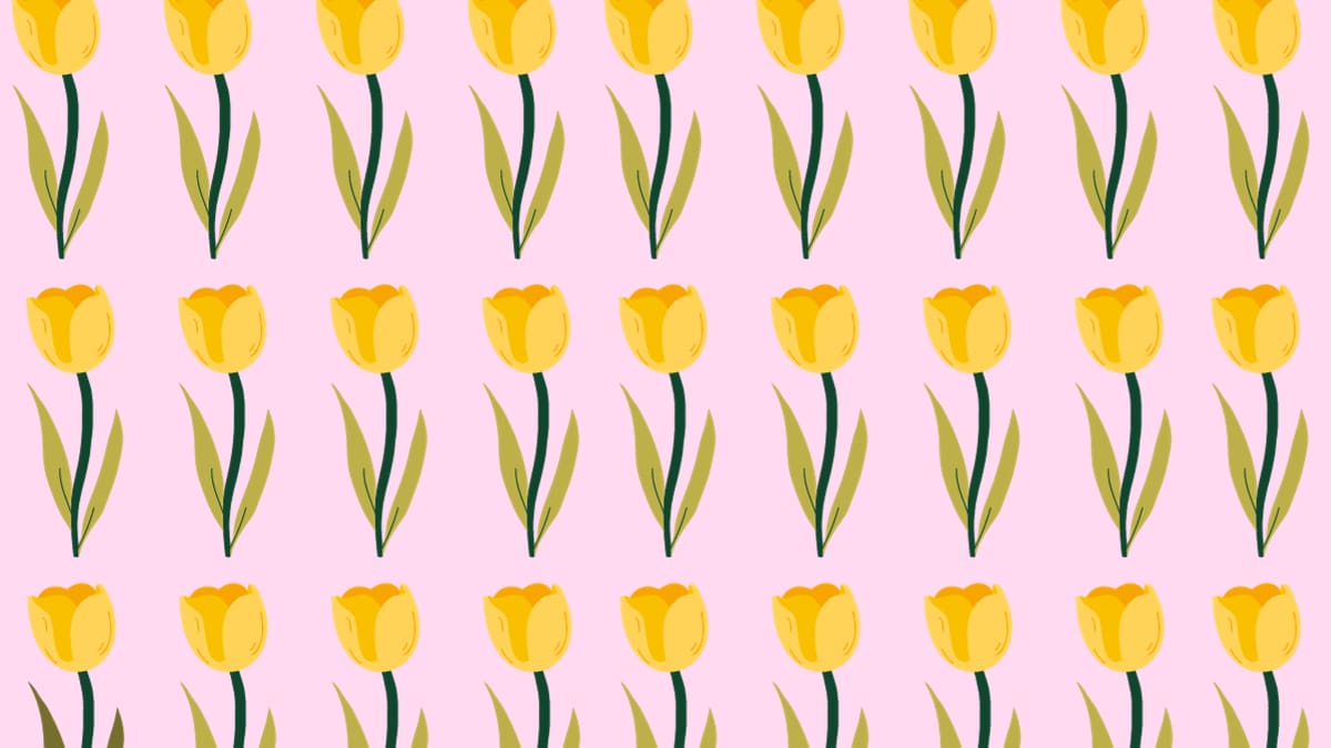 Solo los más rápidos logran encontrar la FLOR diferente en menos de 7 segundos