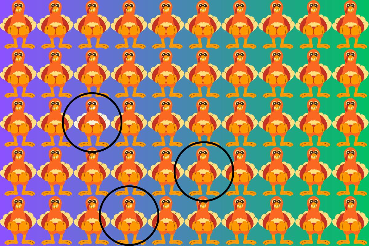 Estos son los tres pavos diferentes en este test visual.
