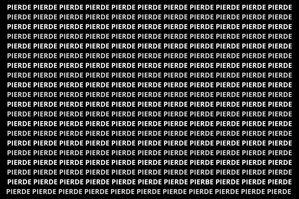 ¿Eres capaz de encontrar la palabra distinta a las demás?