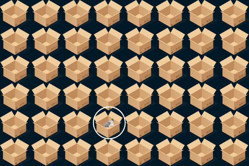 Aquí estaban los gatitos.