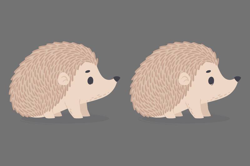 ¿Eres capaz de ver todas las diferencias?