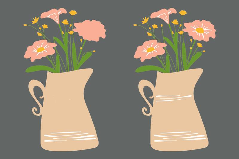 ¿Encontraste las diferencias?