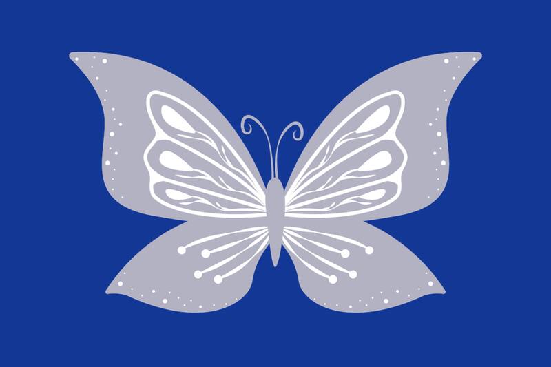 ¿De qué color es realmente la mariposa?